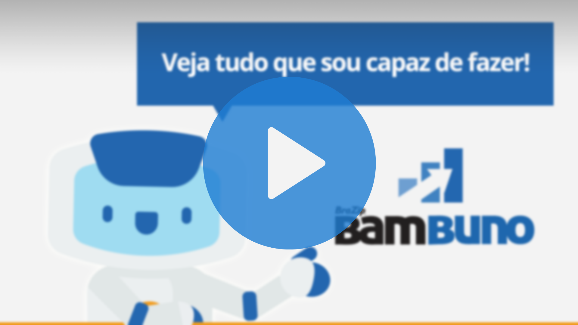 BraZip bambuno - Software de Gestão Financeira Online