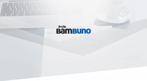 Bambuno - Software de Gestão Financeira Online